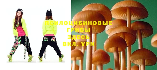 спайс Богородицк
