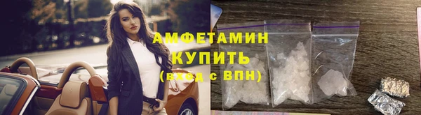 мдпв Богданович
