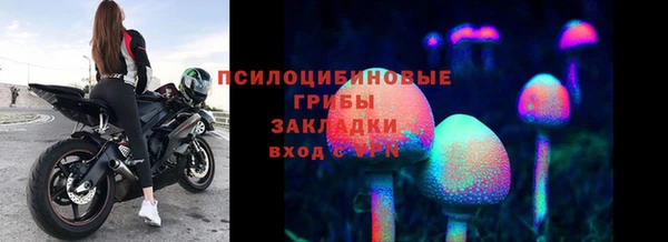 спайс Богородицк