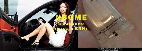 мдпв Богданович