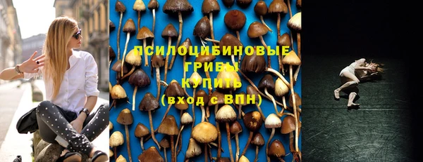 спайс Богородицк