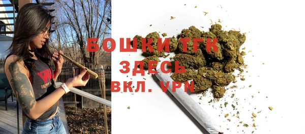 мдпв Богданович