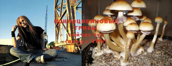 а пвп мука Богородск
