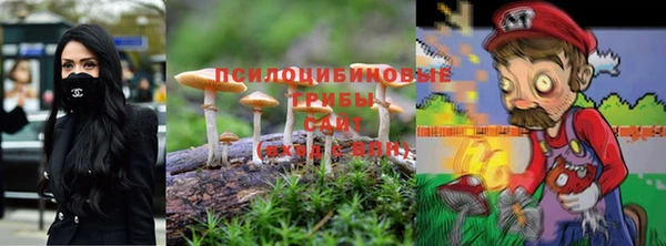 мдпв Богданович